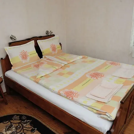 בית הארחה The House Of Petar Levski 2*